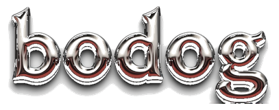 bodog logo